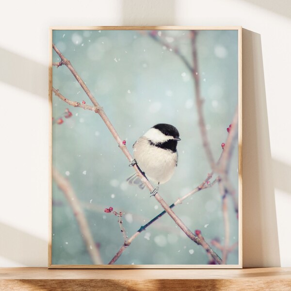 Winter Decor, Winter Photo, Bird Photo, Winter Art, Snow Photo, Nature Photography, Winter Bird Print, Chickadee in Snow No. 18