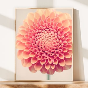 Dahlia Wall Art Print, Floral Wall Decor, Living Room, Bedroom, Nursery, Office, Flower Photography Print, Orange Wall Art