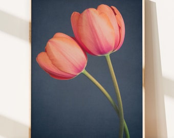 Impression de tulipes, photographie de tulipes, art mural de fleurs, art de la tulipe, photographie de fleurs, art mural floral, photographies de la nature, impression d'art mural de chambre à coucher