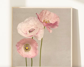 Flower Photography, Flower Wall Art, Poppy Art, Poppy Print, Pink Flowers, Girls Room Art, Fine Art Photography Print