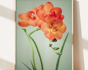 Flower Photography, Floral Wall Art, Bedroom Wall Art, Green and Orange Artwork, Freesia Flowers, Floral Decor, Fine Art Photograph