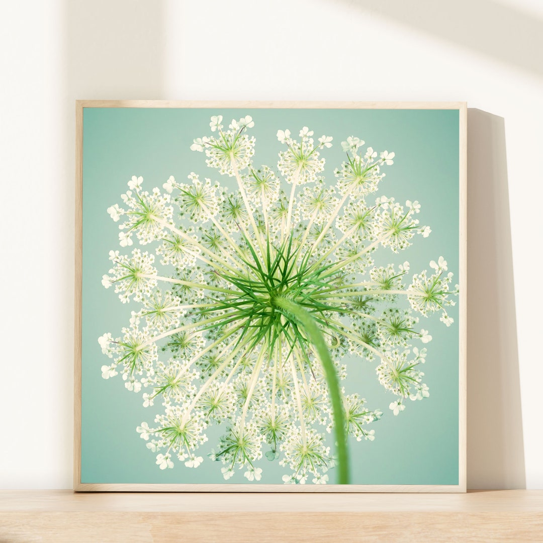 Floral Decor, Modern Farmhouse Art, Wall Art Flower Photography Print ...