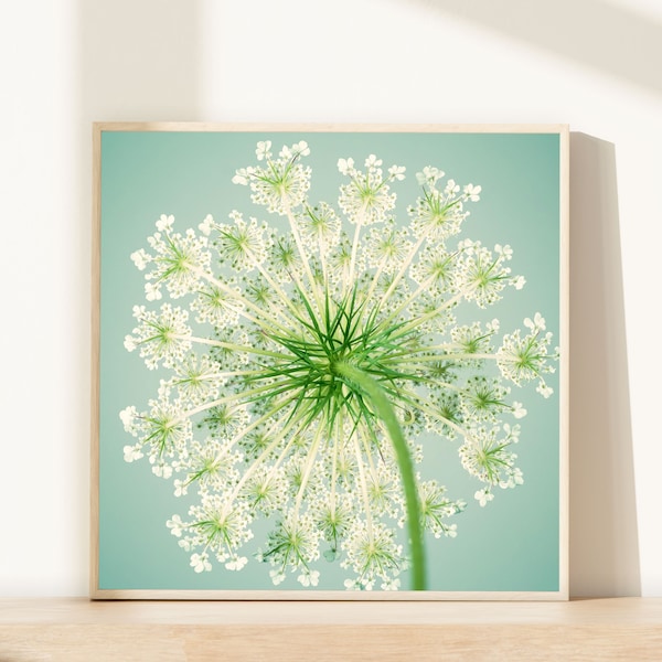 Blumendekor, moderne Bauernhauskunst, Wandkunst Blumenfotografie Druck, Schlafzimmer Wanddekor, Wohnzimmer Wandkunst, Geschenk für sie, Bürodekor