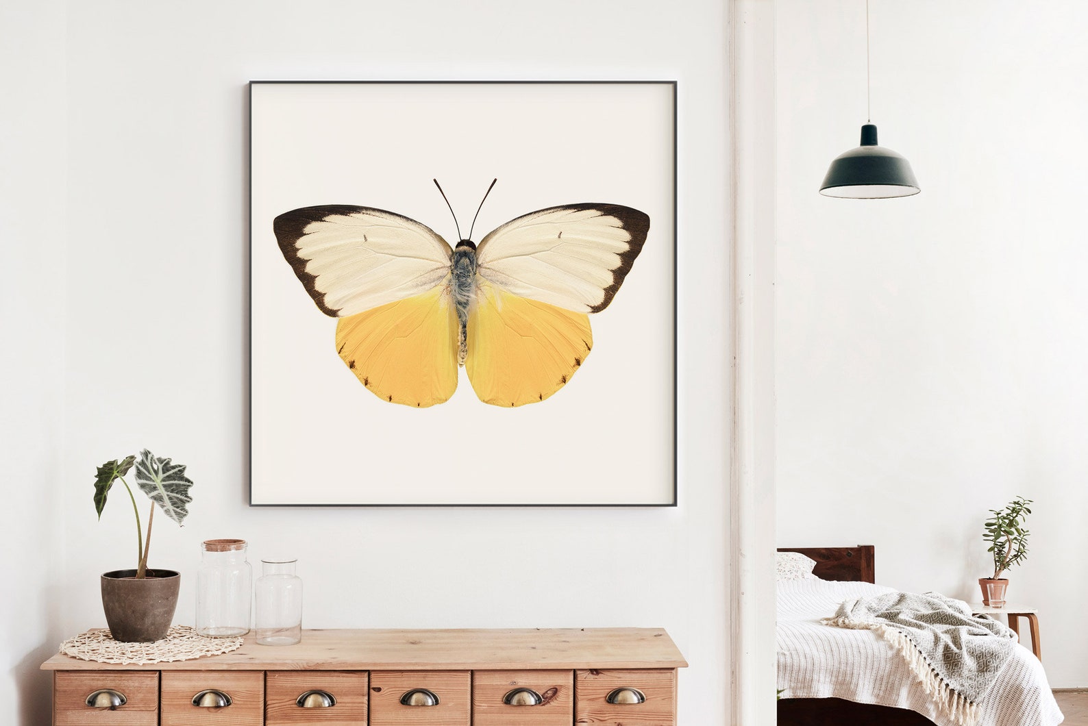 Yellow Butterfly Wall Art Print Fine Art Photography Print Etsy