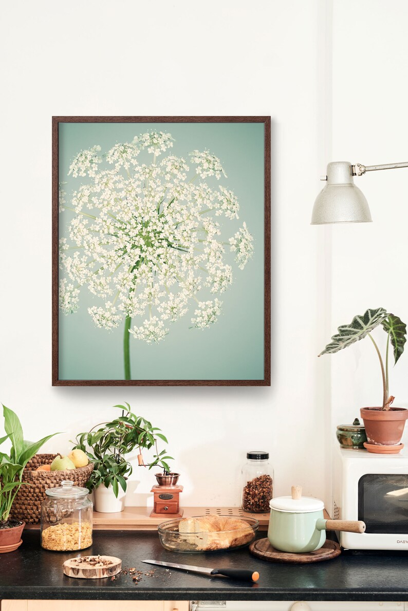 Botanical Print Flower Photography Wall Art Nature Etsy
