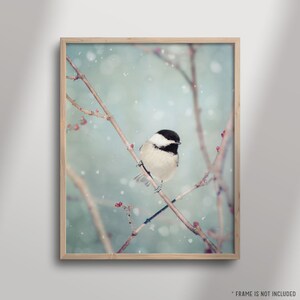 Winter Decor, Winter Photo, Bird Photo, Winter Art, Snow Photo, Nature Photography, Winter Bird Print, Chickadee in Snow No. 18 image 3