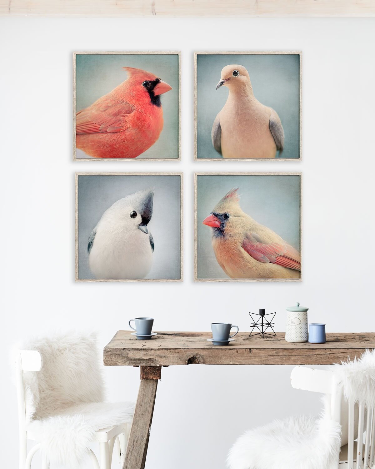 Animal Wall Art Bird Photography Bird Art Prints Set Cute Etsy