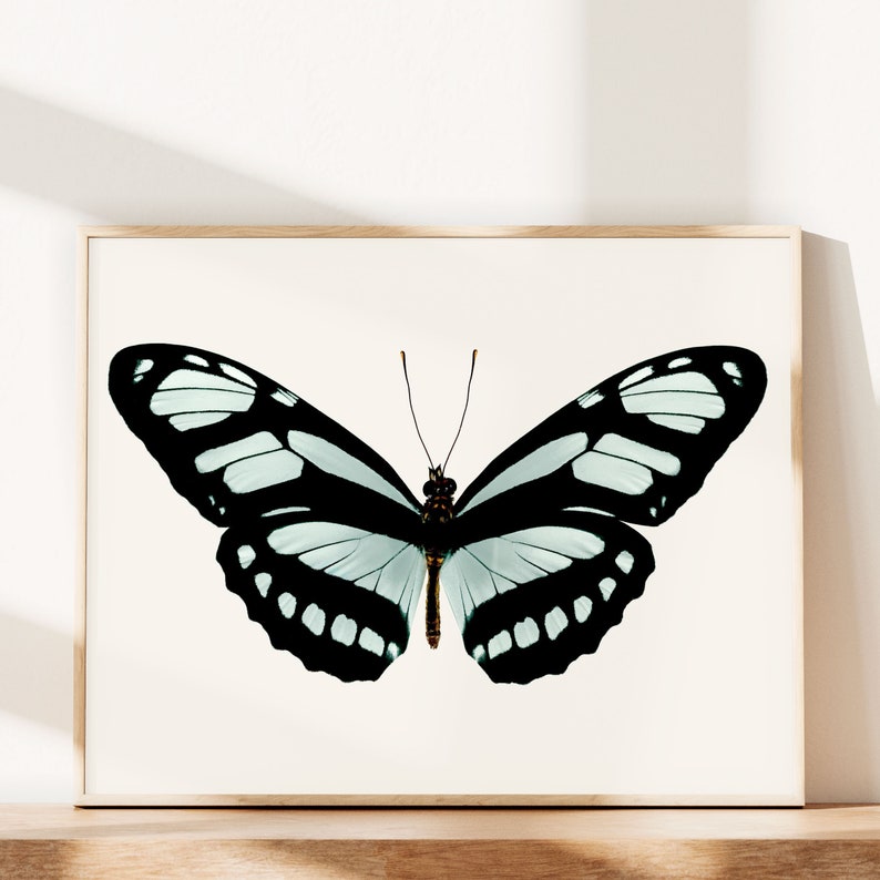 Teal Butterfly Art Print, Office Wall Art for Women, Bedroom Art Decor, Teal and Black Wall Art, Nature Prints Wall Art, Fine Art Print image 1
