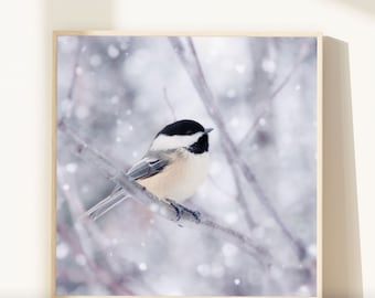 Winter Photo, Bird Art Print, Holiday Decor, Winter Animal Photography, Nature Art, Winter Wall Decor, Holiday Art, Chickadee in Snow No. 9