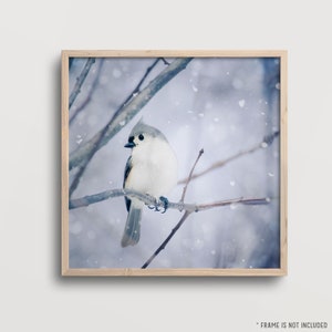 Winter Wall Art, Winter Photo, Winter Art, Bird Print, Woodland Animal Art Print, Bird Photograph, Tufted Titmouse in Snow No. 9 image 3