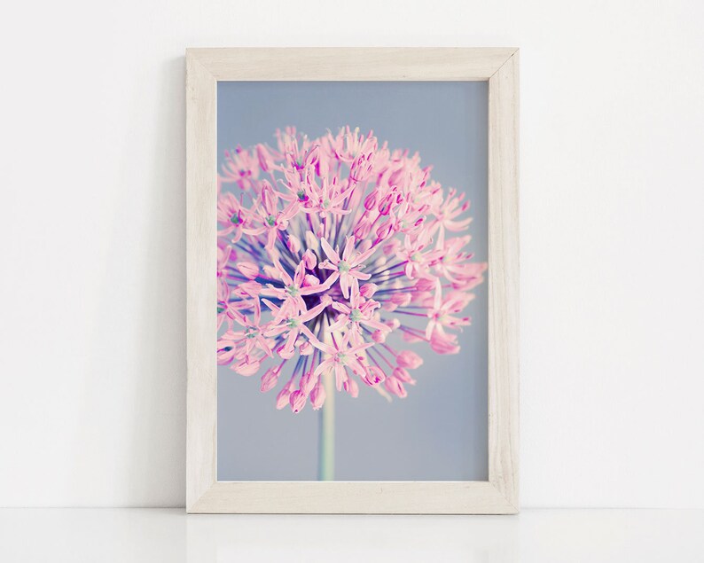 Nursery Art Print Floral Wall Art Pastel Pink Nursery Wall Etsy