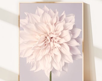 Dahlia Flower Print, Neutral Wall Art, Bedroom Wall Art, Living Room Wall Art, Home Decor, Wall Art Floral, Wall Decor, Flower Photograph