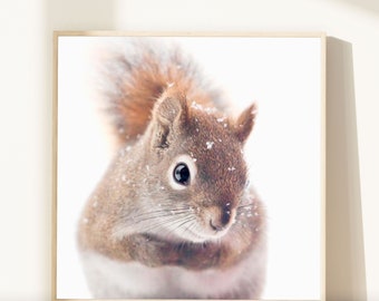 Red Squirrel Art, Nature Photography, Woodland Animal Photography, Woodland Nursery Wall Art, Cute Animal Nursery Art, Winter Photography