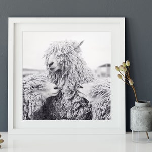 Sheep Art, Animal Photography, Sheep Photograph, Animal Art Print, Black & White Photography Print, Wall Decor image 4