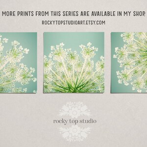 Bedroom Wall Art, Flower Photography, Queen Anne's Lace, Square Art Print, Floral Wall Decor, Aqua, Teal, Green, Living Room Wall Art Print image 5