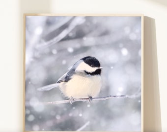 Impression d'art oiseau dans la neige, impression de photographie animalière, photographie d'oiseau, hiver, photo d'oiseau, photographie de la nature, mésange dans la neige n° 11