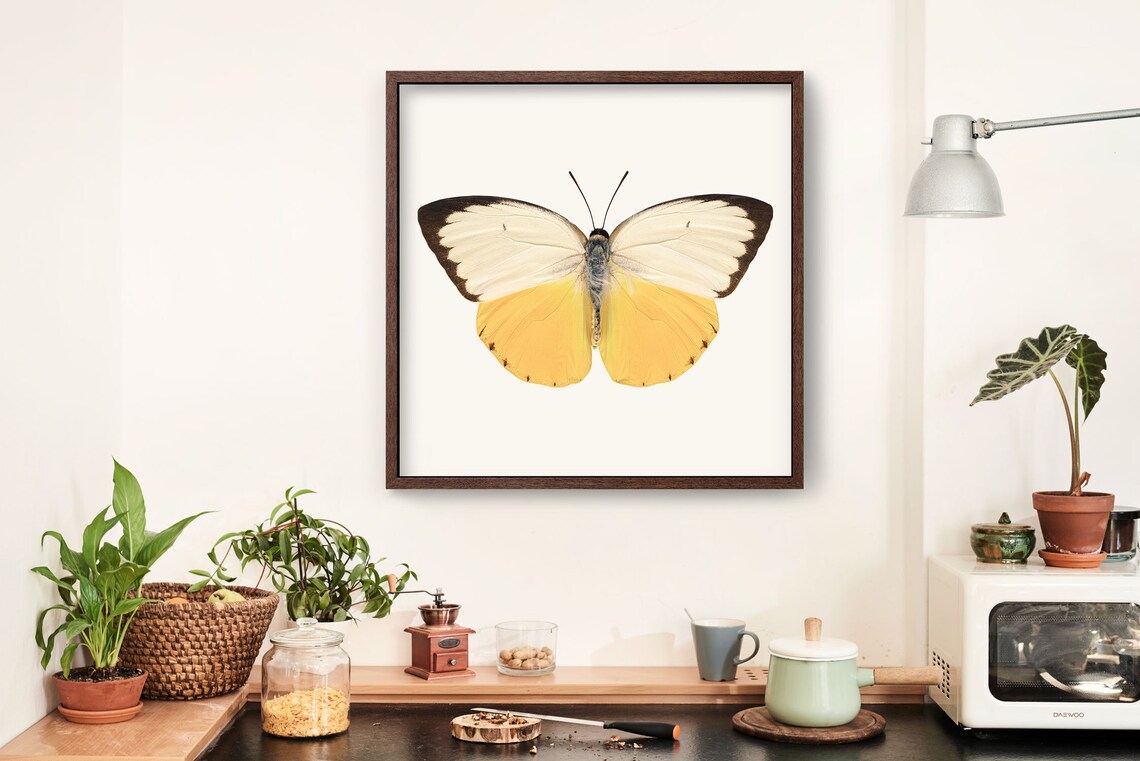 Yellow Butterfly Wall Art Print Fine Art Photography Print Etsy