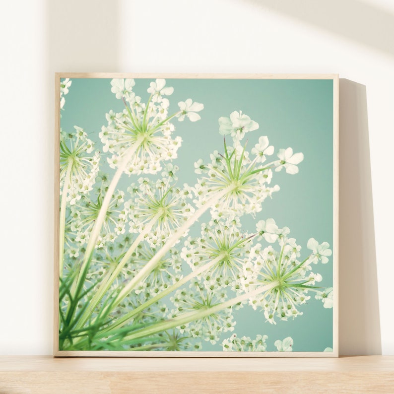 Bedroom Wall Art, Flower Photography, Queen Anne's Lace, Square Art Print, Floral Wall Decor, Aqua, Teal, Green, Living Room Wall Art Print image 1