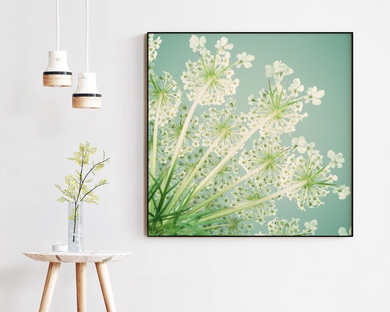 Bedroom Wall Art, Flower Photography, Queen Anne's Lace, Square Art Print, Floral Wall Decor, Aqua, Teal, Green, Living Room Wall Art Print image 3