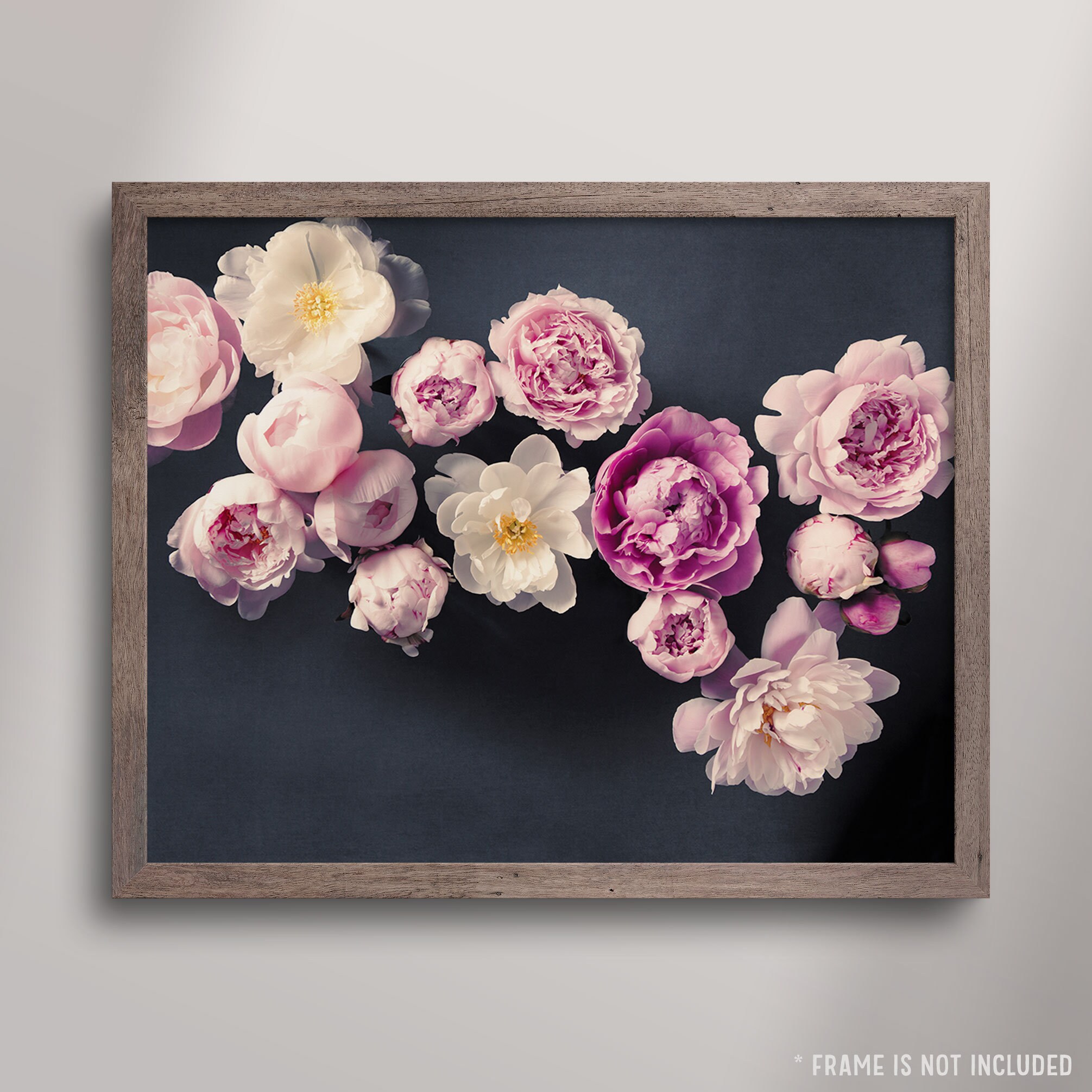 Pink and Navy Wall Art Peony Print Flower Art Modern Floral Etsy