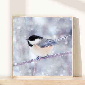 Winter Wandkunst, Urlaubsdeko, Winter Tierfotografie, Vogel Wandkunst, Naturfotografie, Winterfotografie, Chickadee in Snow No. 12