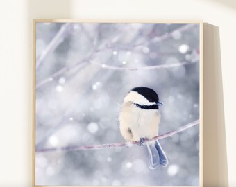 Winter Photography Bird Print, Winter Art, Animal Photography, Nature, Art Print, Woodland Animal, Wall Art, Chickadee in Snow No. 10