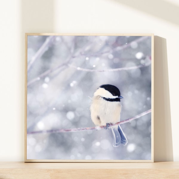 Winter Photography Bird Print, Winter Art, Animal Photography, Nature, Art Print, Woodland Animal, Wall Art, Chickadee in Snow No. 10