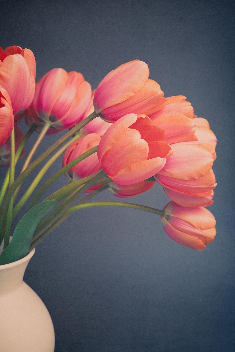 Tulip Print Tulip Photography Flower Wall Art Tulip Art Etsy