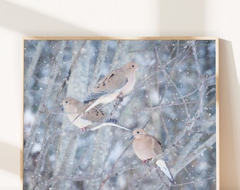 Winter Birds Print, Nursery Art, Woodland Animal Print, Nature Photography, Winter Decor, Wall Art, Mourning Doves in Snow No. 6