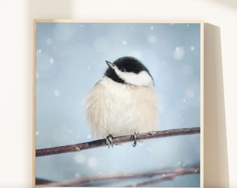 Bedroom Wall Decor, Blue Living Room Decor, Wall Art Birds, Winter Decor, Living Room Wall Art, Chickadee Print, Nature Photography Print