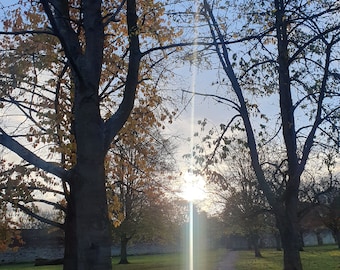 Fotografía de naturaleza