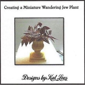 How to Create you own Miniature Wandering Jew PLant