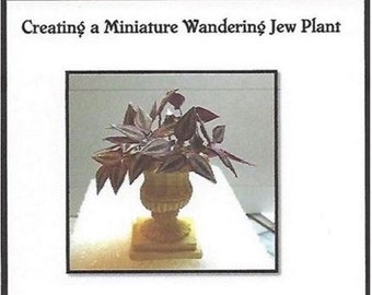 How to Create you own Miniature Wandering Jew PLant
