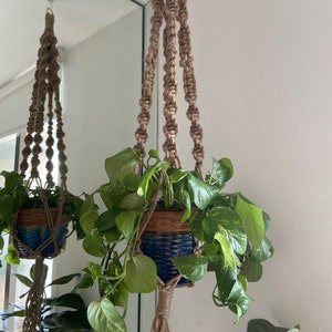 May include: A macrame plant hanger made of natural jute rope with a blue and brown ceramic pot and a green leafy plant hanging from it.