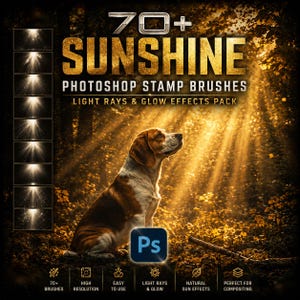 Op de afbeelding: Een digitale collectie van 70+ Sunshine Photoshop stempelpenselen met lichtstralen en gloeieffecten. De afbeelding toont een beagle in een zonnig bos, het Photoshop-logo en tekst waaronder 70+ SUNSHINE PHOTOSHOP STAMP BRUSHES.