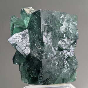 Gierige Schweinstasche Grüner Fluorit Kristall, Diana Maria Mine, England Bild 7