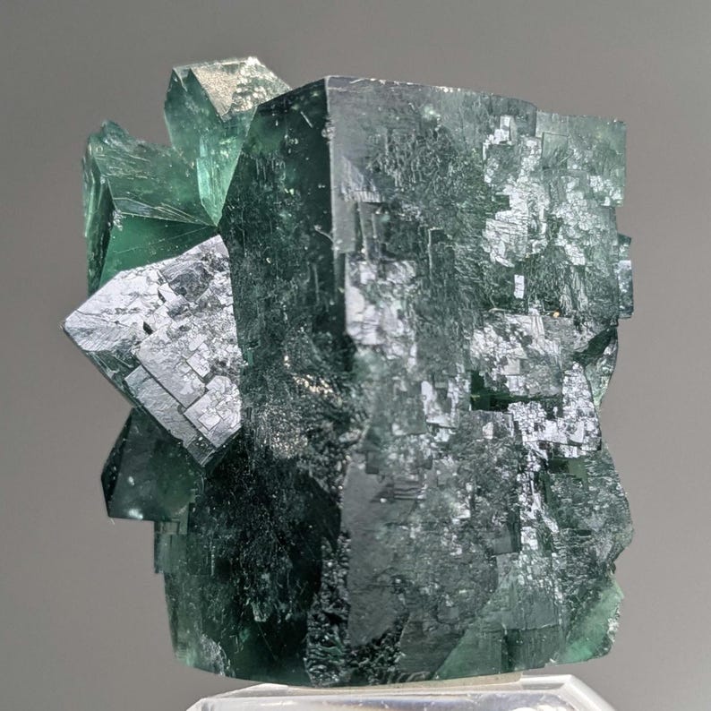 Gierige Schweinstasche Grüner Fluorit Kristall, Diana Maria Mine, England Bild 7
