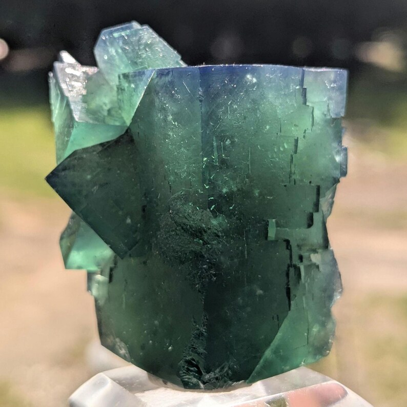 Gierige Schweinstasche Grüner Fluorit Kristall, Diana Maria Mine, England Bild 6