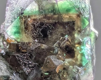 Könnte beinhalten: Ein grüner Fluoritkristall mit schwarzen Einschlüssen. Der Kristall ist teilweise in eine Matrix aus grauem Gestein eingebettet.
