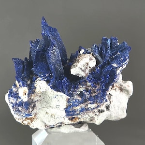 May include: A striking specimen of azurite, a deep blue copper mineral, with crystalline formations. The azurite crystals are clustered on a matrix of white and brown rock. The mineral is displayed on a clear, rectangular stand.