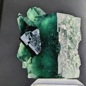 Gierige Schweinstasche Grüner Fluorit Kristall, Diana Maria Mine, England Bild 1