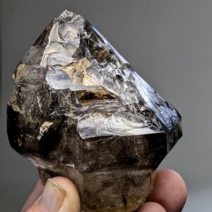 XL Lustrous Smoky Quartz Sceptre Crystal, Enhydro Crystal, Smoky Quartz Crystal, Quartz Crystal, Smoky Quartz Phantom, Bubble Crystal.