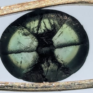 May include: A green and black star-shaped gemstone with a faceted cut. The gemstone is set in a gold setting.