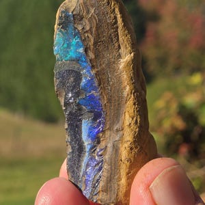Boulder Opal Ironstone Specimen from Australia