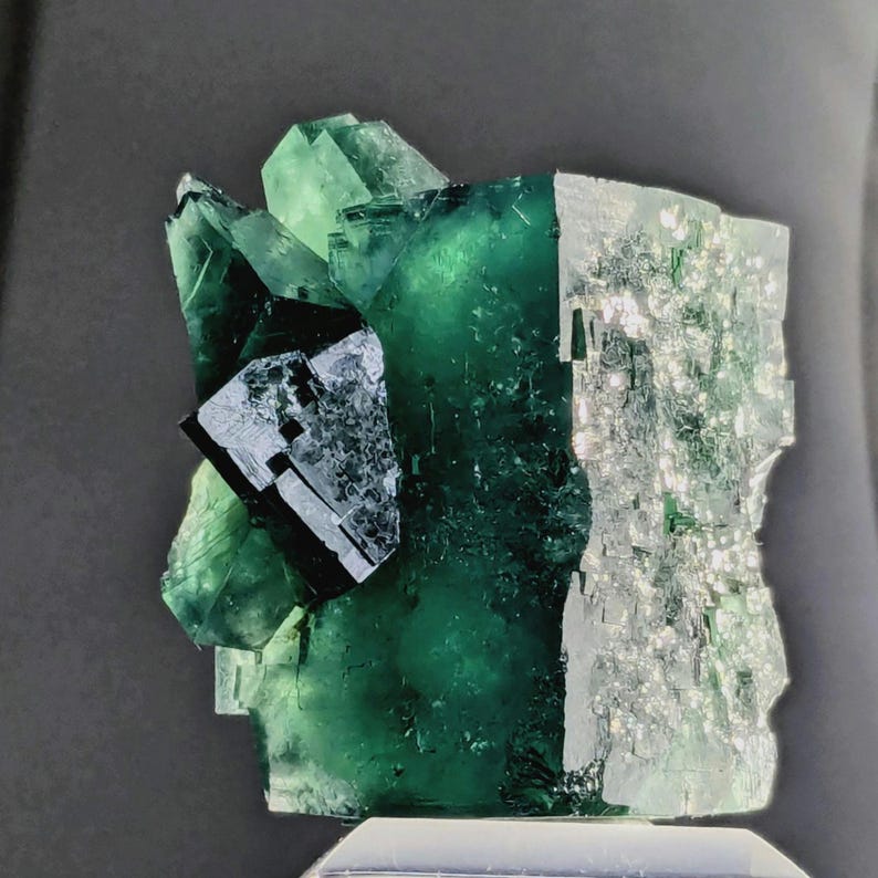 Gierige Schweinstasche Grüner Fluorit Kristall, Diana Maria Mine, England Bild 4