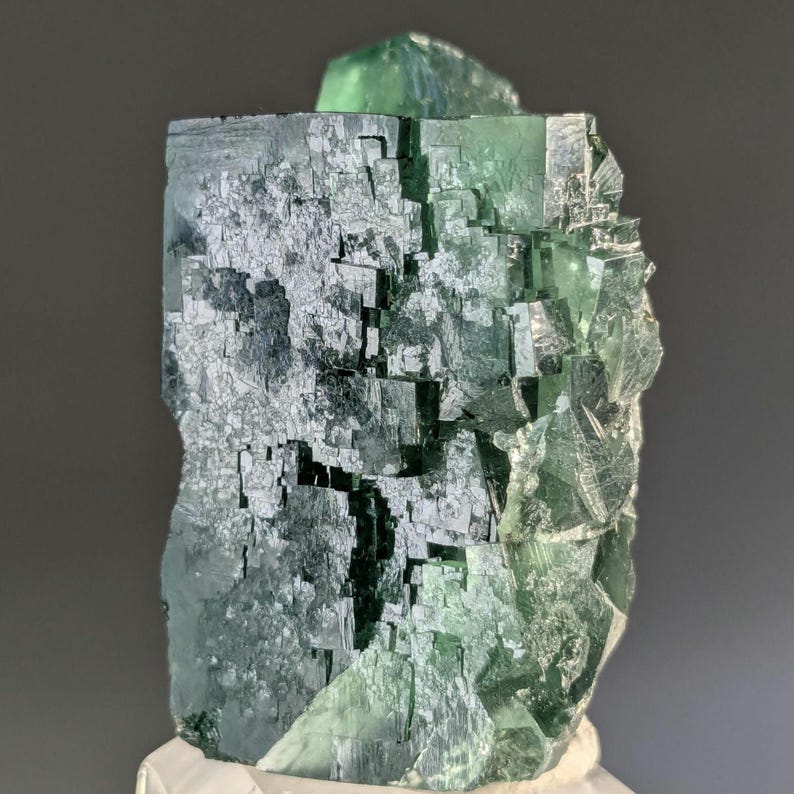 Gierige Schweinstasche Grüner Fluorit Kristall, Diana Maria Mine, England Bild 5