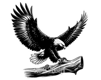 Bald Eagle SVG: American Eagle PNG, PDF (Digital Download)