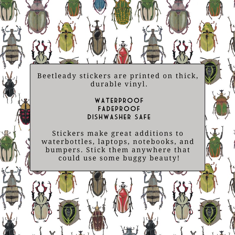 Darkling Beetle Gyriosomus parvus Vinyl Insect Sticker image 4
