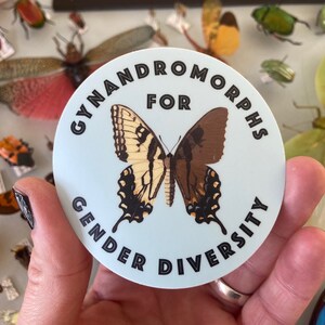 Gynandromorphs for Gender Diversity 3x3 Sticker image 1