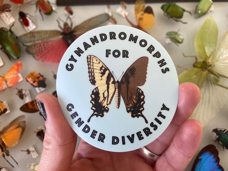 Gynandromorphs for Gender Diversity 3x3 Sticker image 1